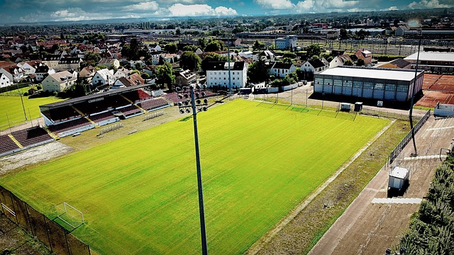 本赛季意甲门将零封榜：普罗韦德尔、斯维拉尔、迈尼昂前三